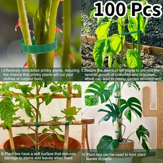  Plant Ties