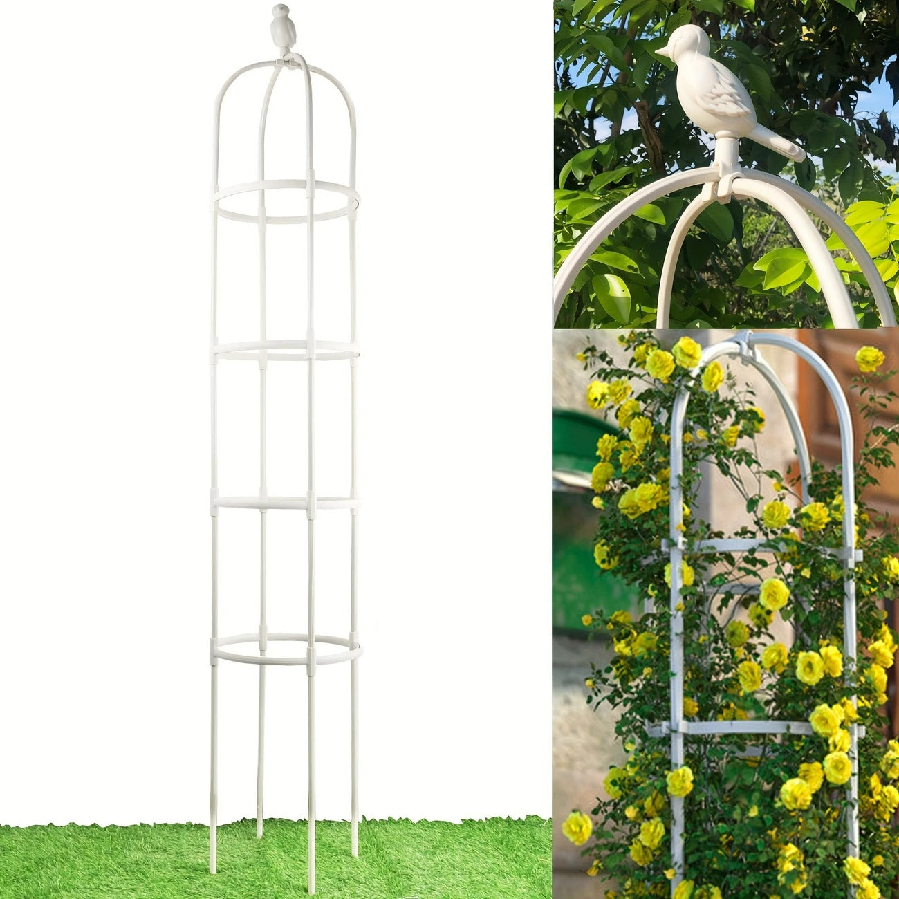 Plant Trellis for Pots Black and White