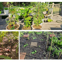226 Ft Drip Irrigation Kit, Plant Watering System