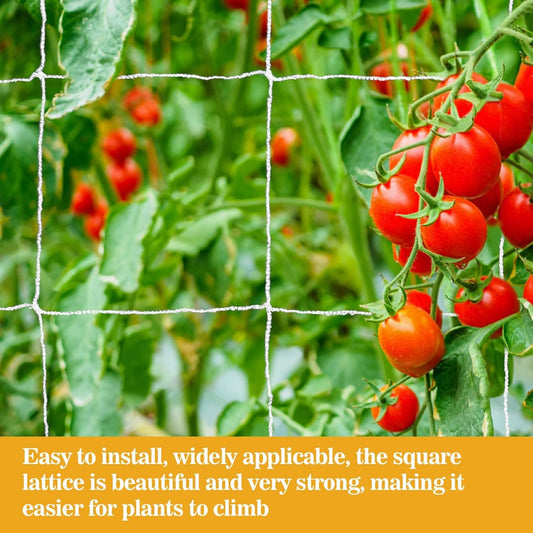 Trellis Netting