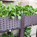 2 Pcs Plastic Raised Garden Bed