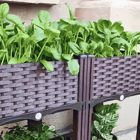 2 Pcs Plastic Raised Garden Bed