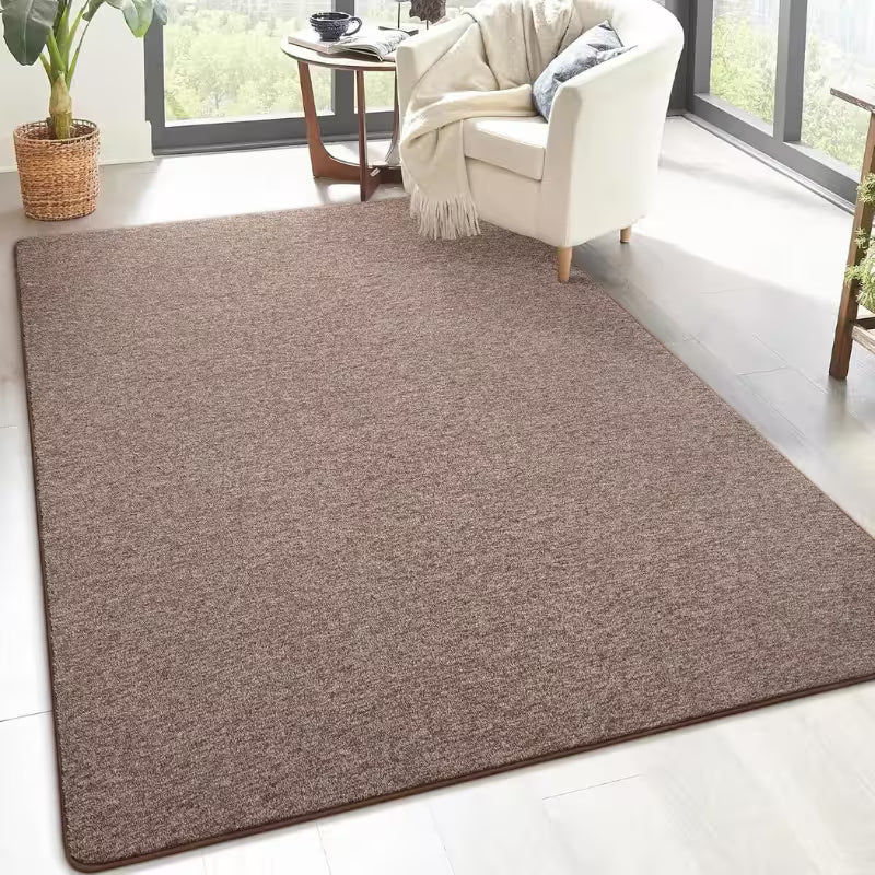 Sandy Brown Color Rugs