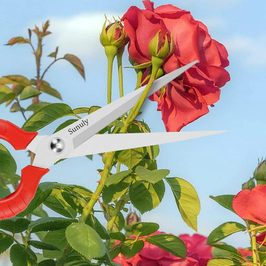 Long Pruning Shears