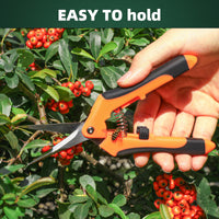 Small Pruning Shears