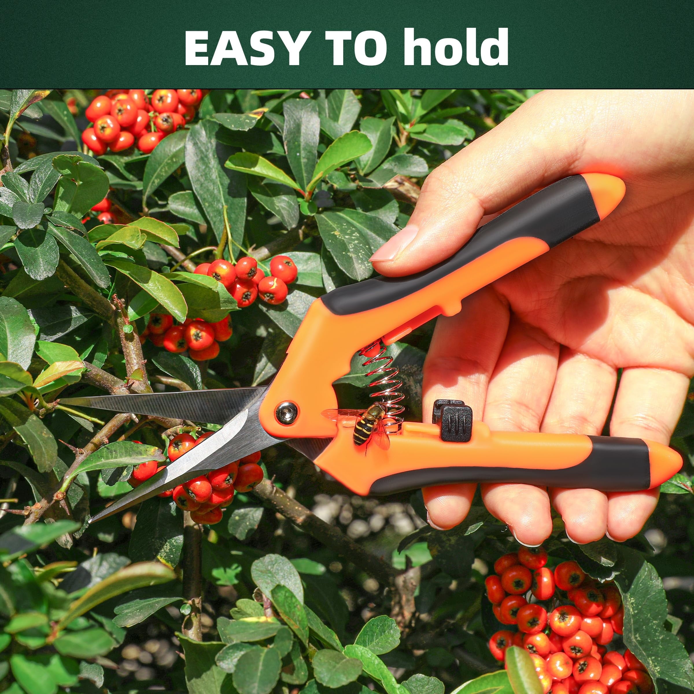 Small Pruning Shears