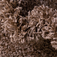 Brown Color Rugs