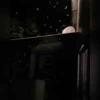 Solar Bug Zapper 