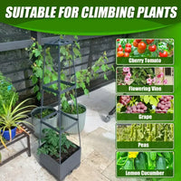 Tomato Planter Grow Box with Trellis