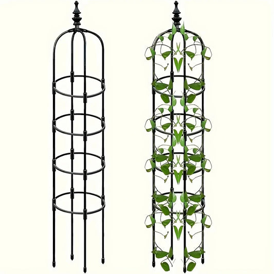 2 Pcs Trellis Obelisk