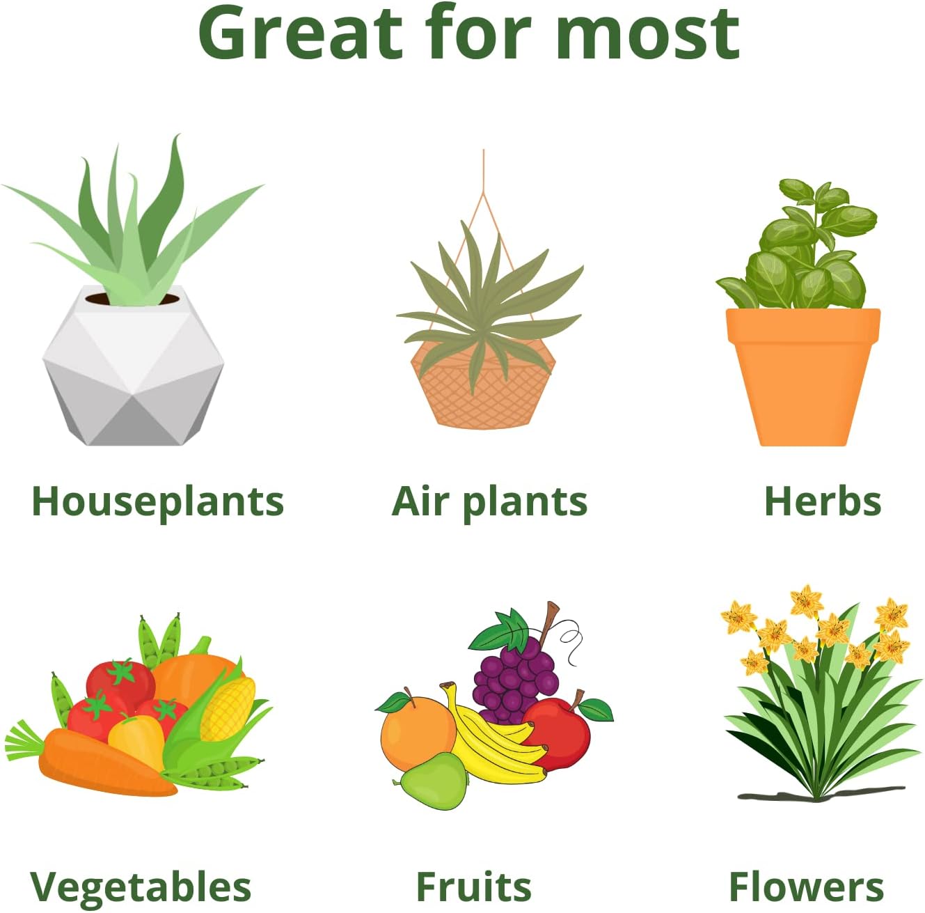 All Purpose Fertilizer 20 20 20 