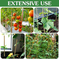 Bamboo Plant Stakes