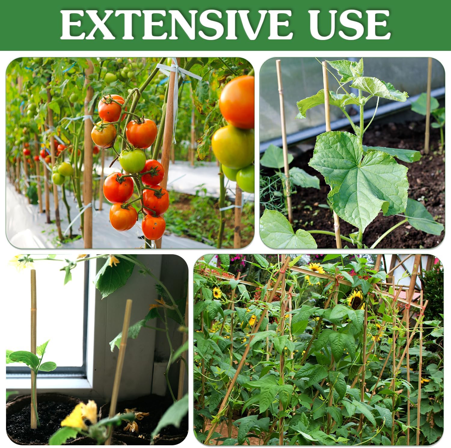 Bamboo Plant Stakes