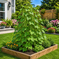 Versatile Bean_Garden_Trellis