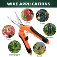 Small Pruning Shears