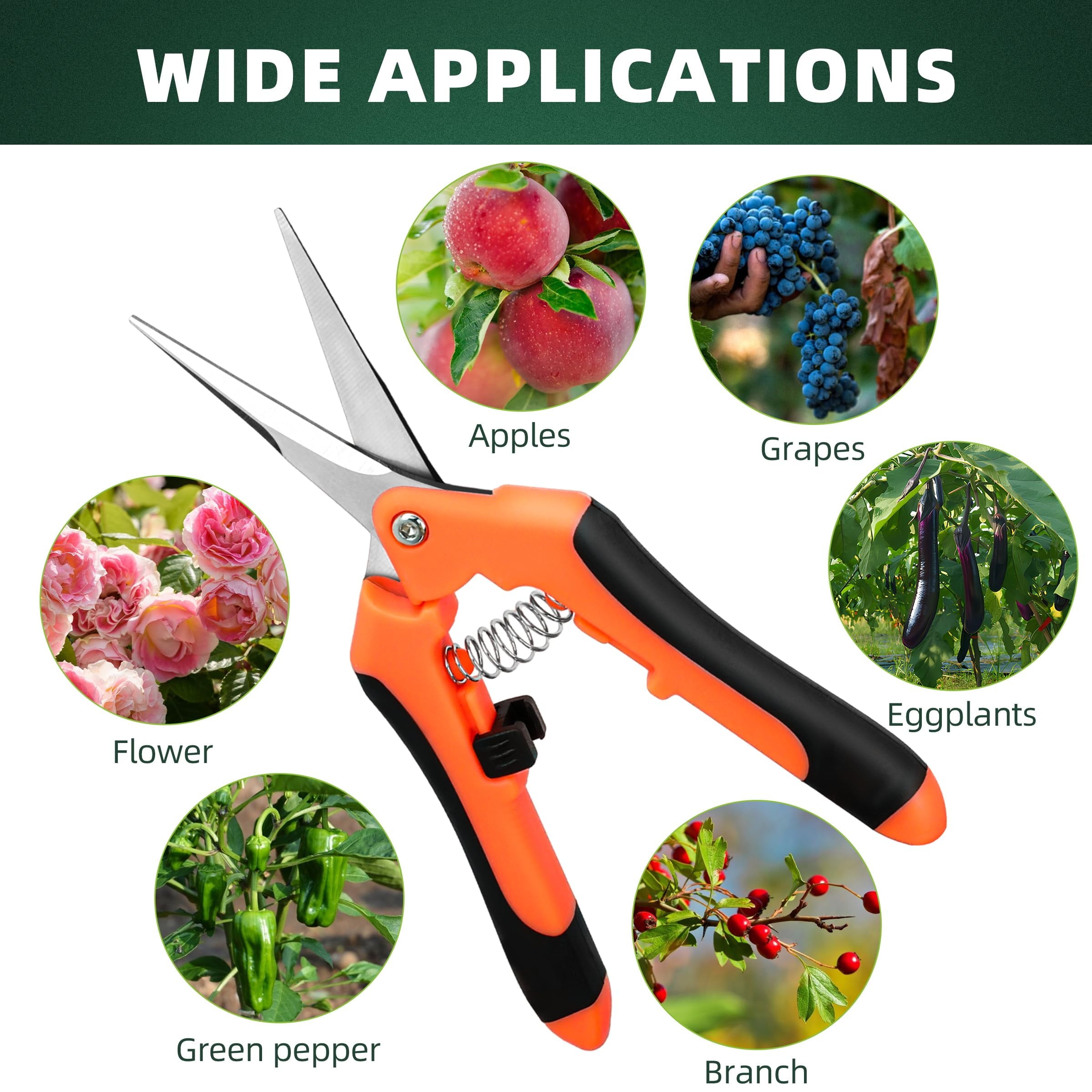 Small Pruning Shears