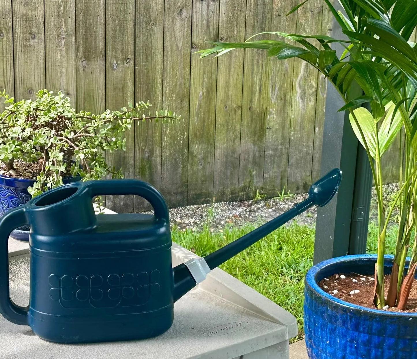 Watering Cans with Long Spouts