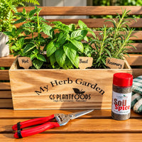 Windowsill Herb Garden Kit