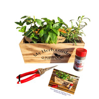  Herb Garden Kit