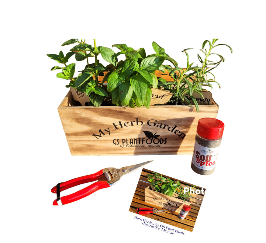  Herb Garden Kit