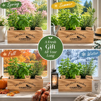 Windowsill Herb Garden Kit
