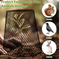 Wire Garden Cloche 