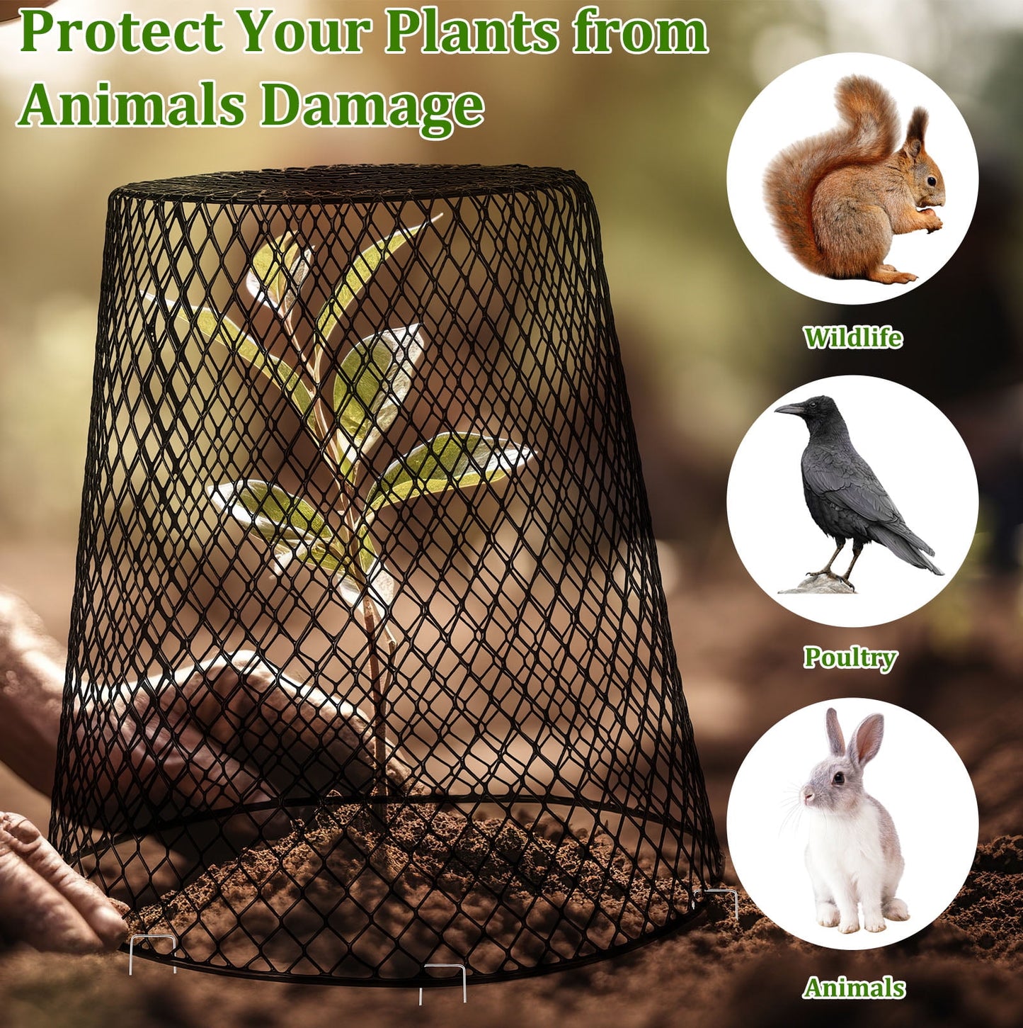 Wire Garden Cloche 