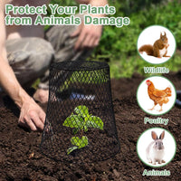 10 Pack Garden Wire Cloche Plant Covers  9.13" x 9.13"
