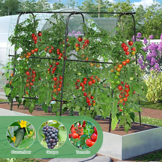 Metal Arch Trellis