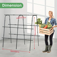 Metal Arch Trellis