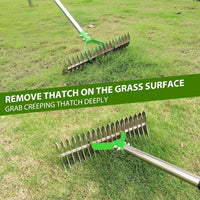 Dethatcher Rake
