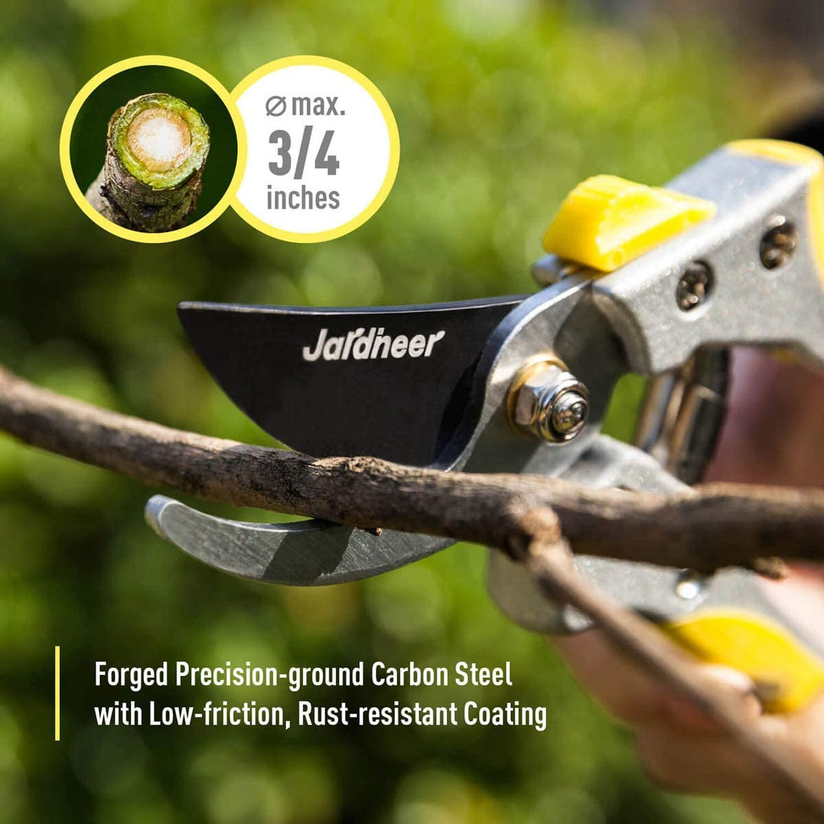 Hedge Shears