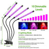 Dimmable Grow Lights for Indoor Plants