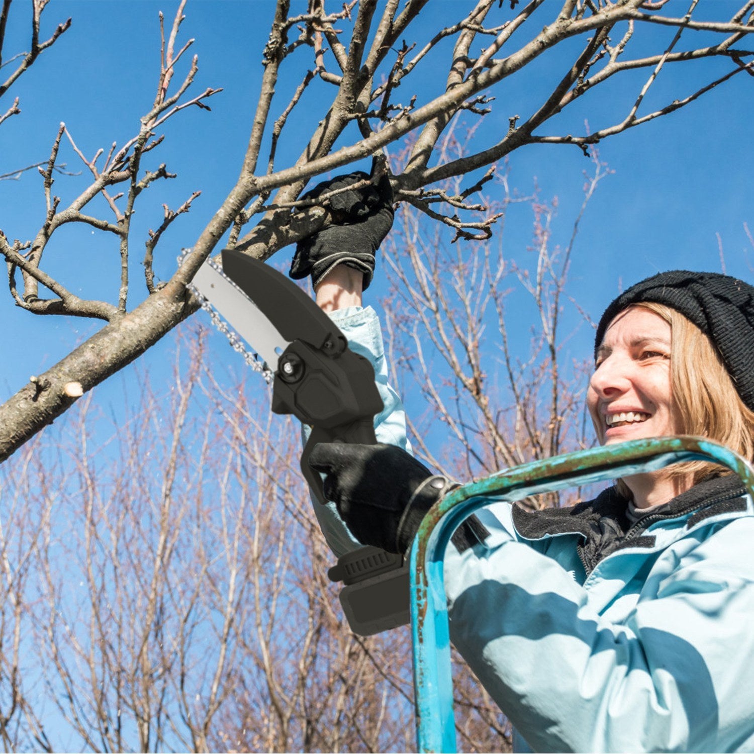 Electric Pruning Saws- Blue and Black