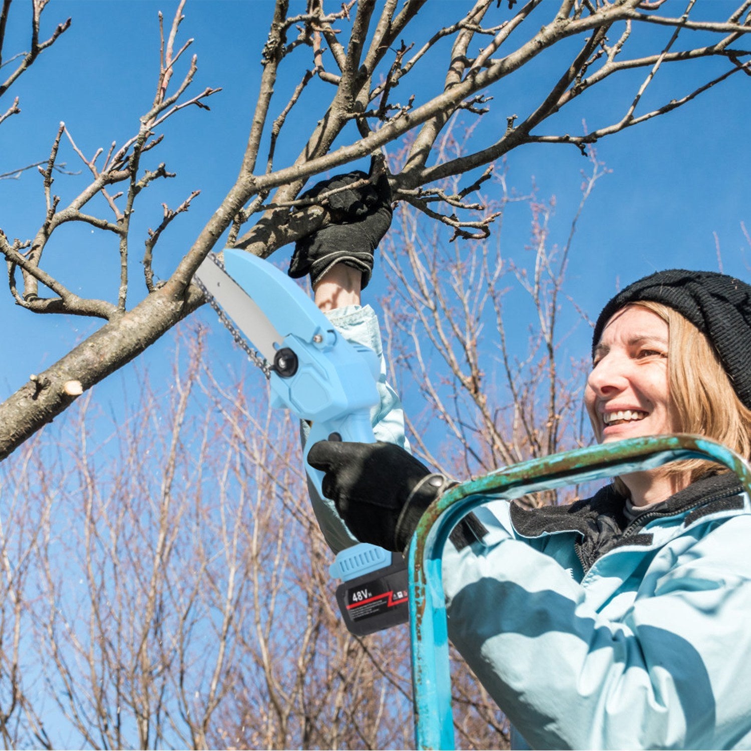 Electric Pruning Saws- Blue and Black