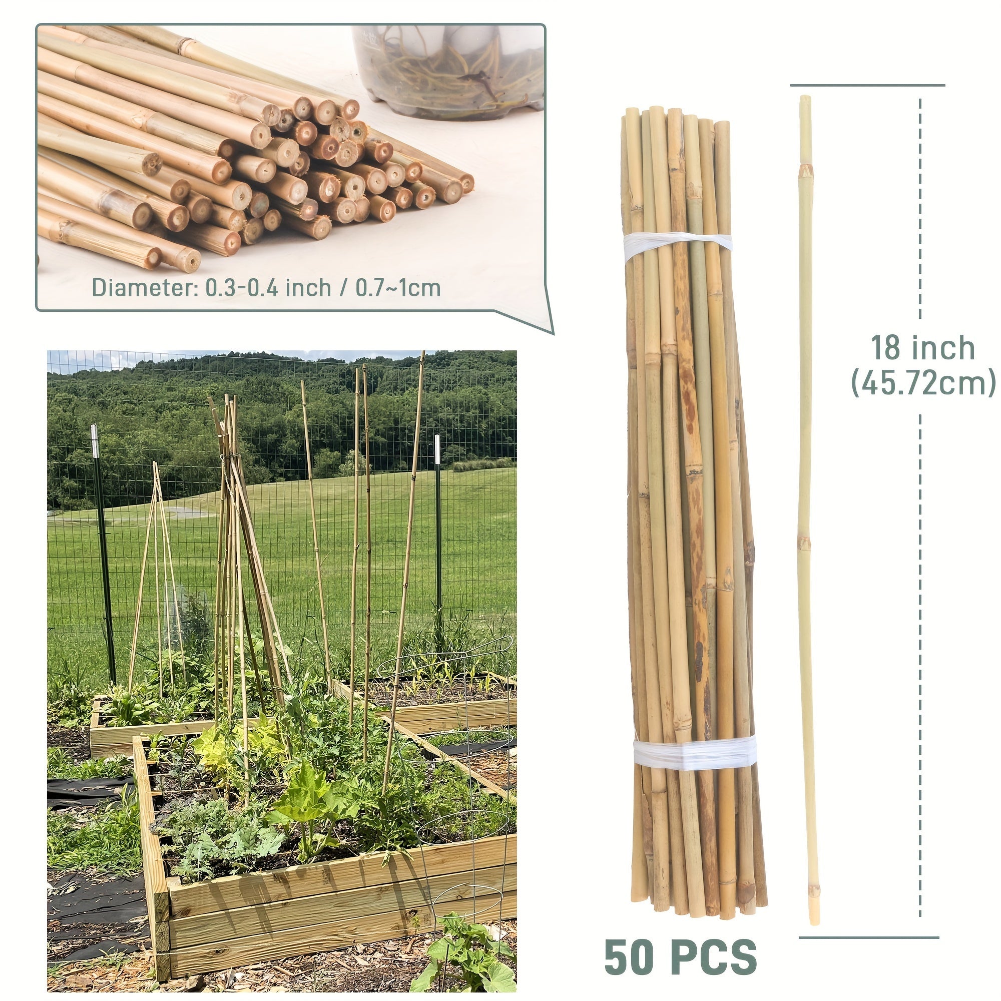 Bamboo Plant Stakes