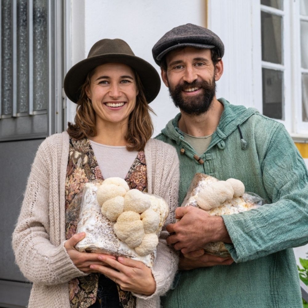 Lion's Mane Mushroom Grow Kit 
