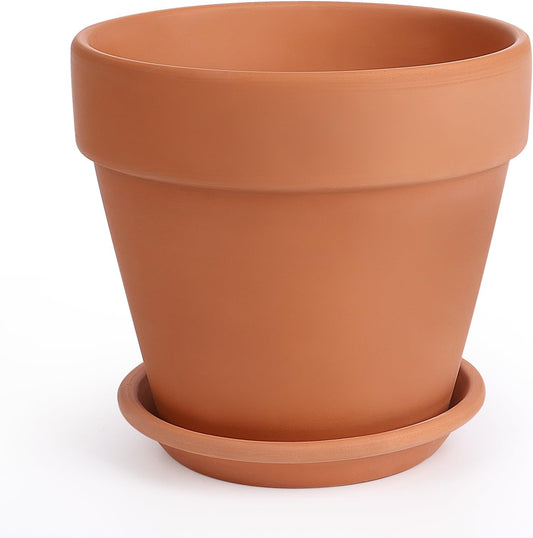huge terracotta plant pots