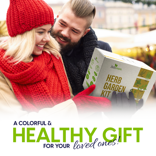 Herb Garden Kit 
