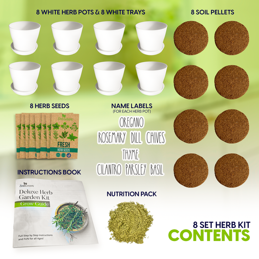 Herb Garden Kit 