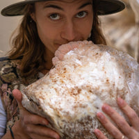 Lion's Mane Mushroom Grow Kit 