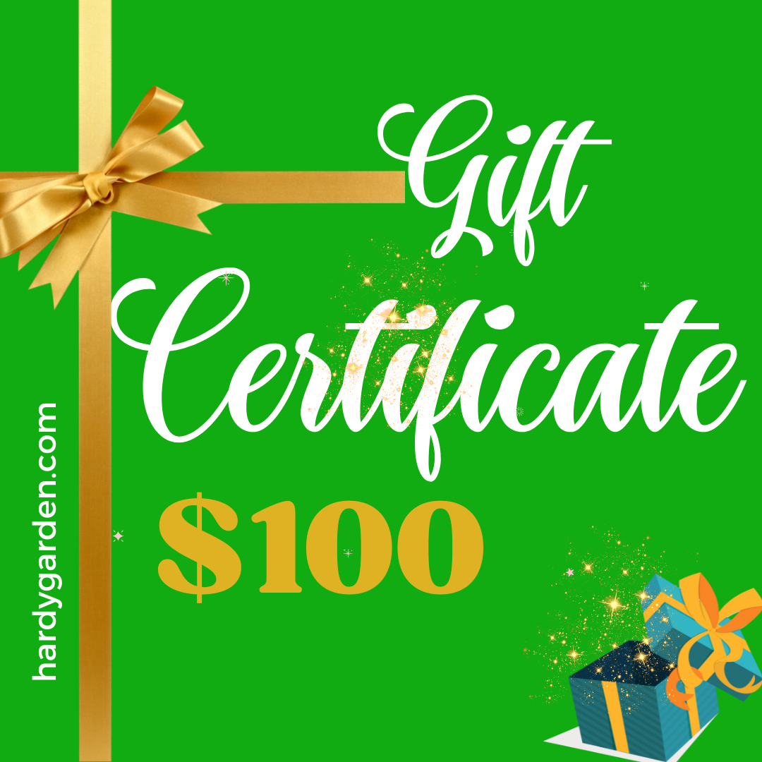 Hardy Garden Gift Certificate $100