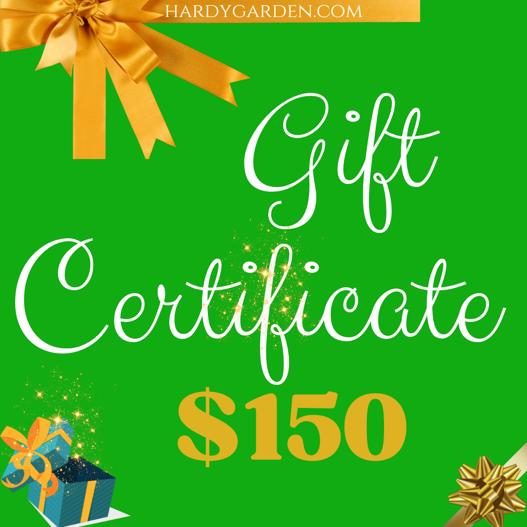Hardy Garden Gift Certificate $150