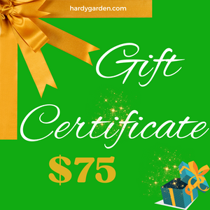 Hardy Garden Gift Certificate $75