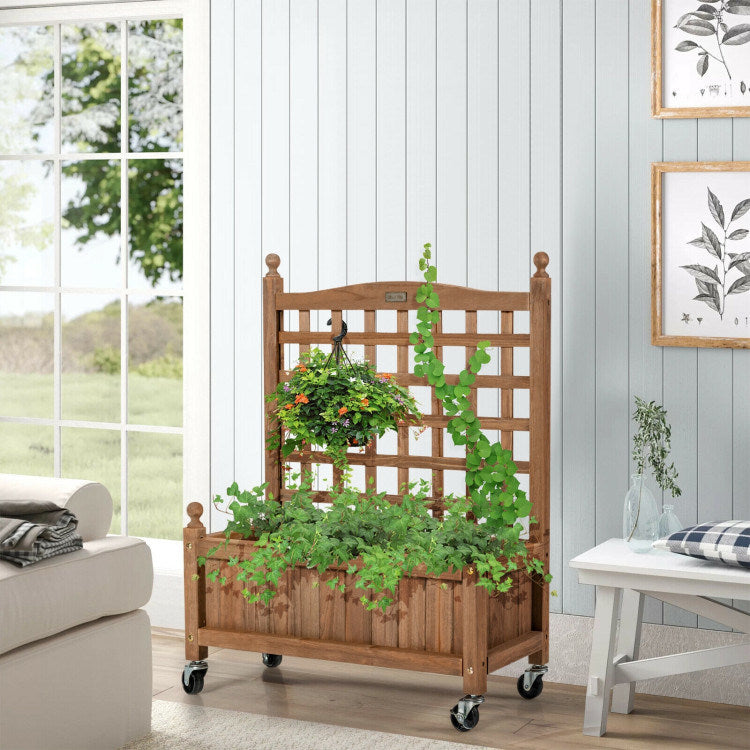 Planter Box with Trellis