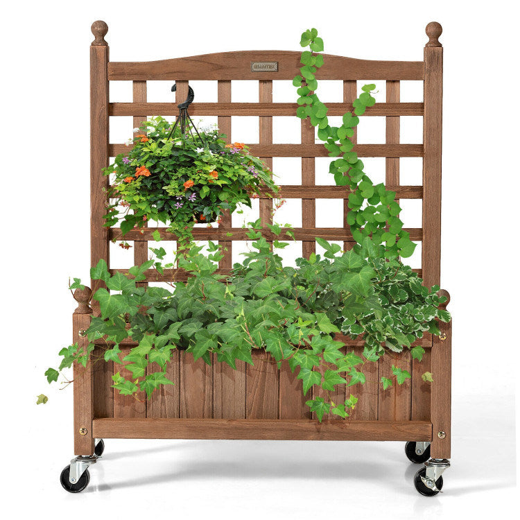 Planter Box with Trellis