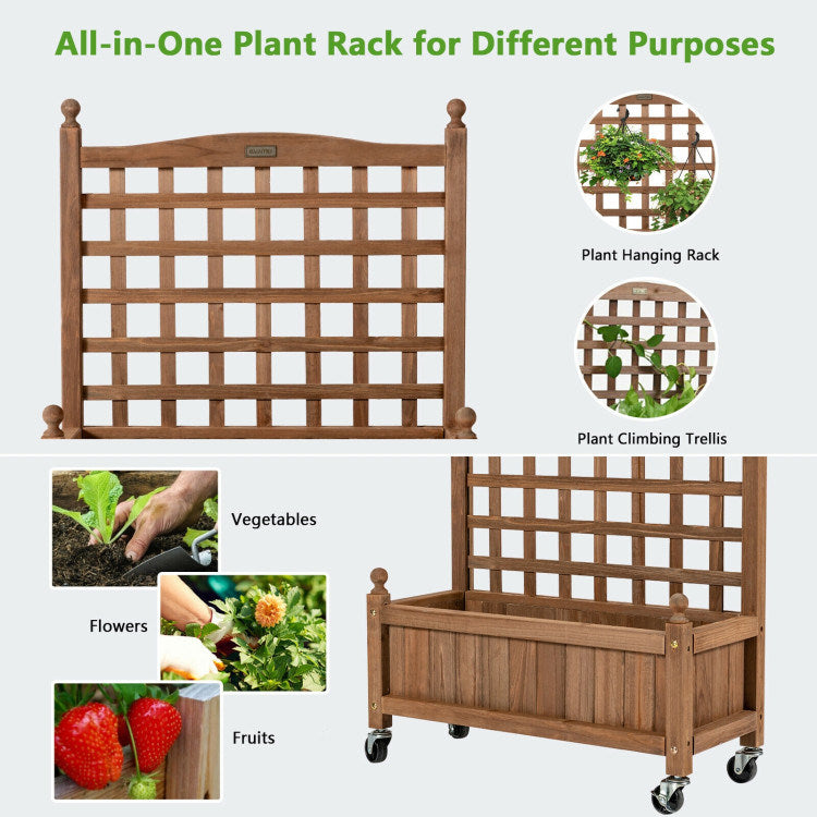 Planter Box with Trellis