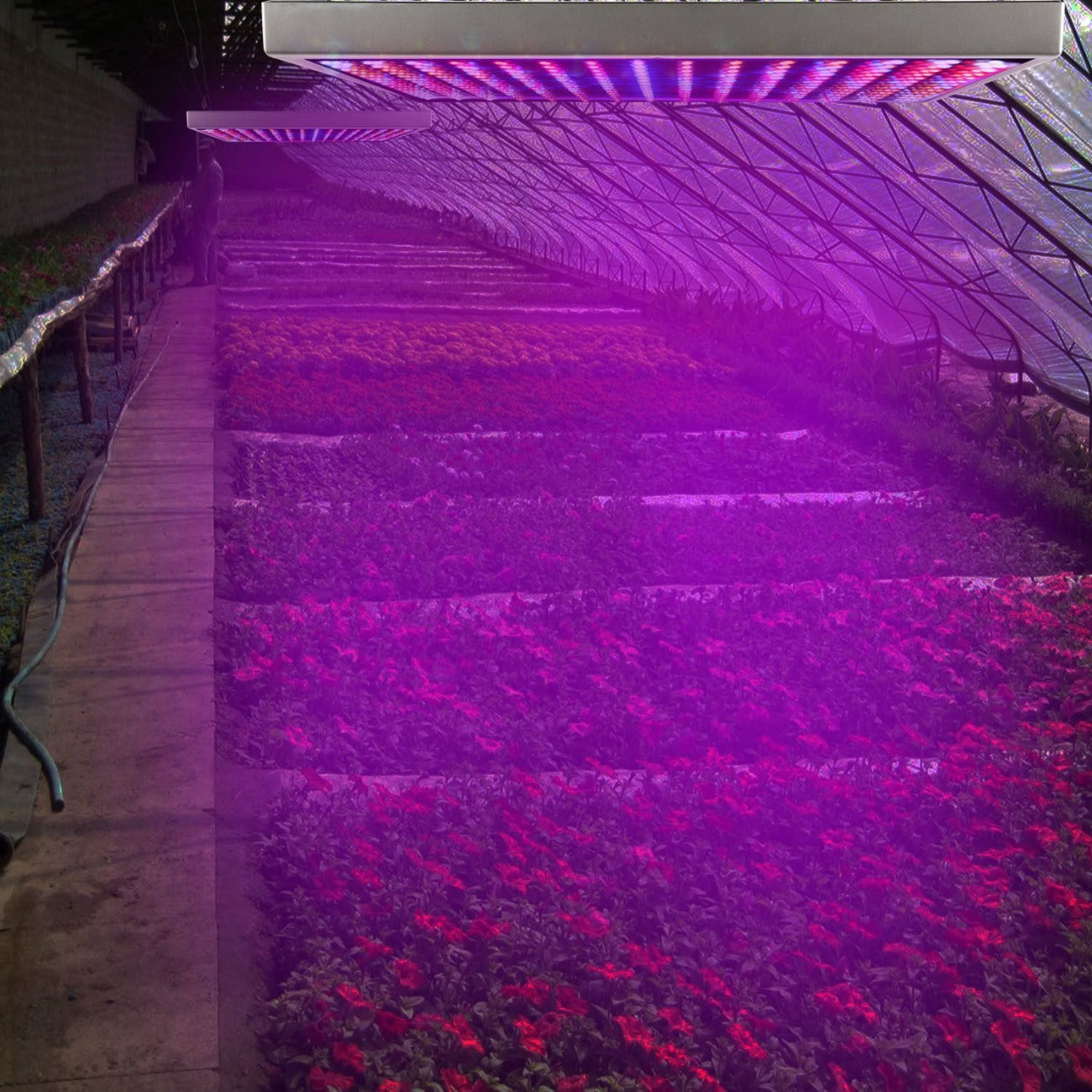  Full Spectrum LED Grow Lights for Plants