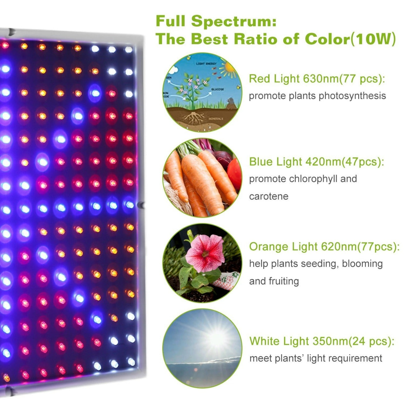 10W Full Spectrum LED Grow Lights