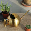 Load image into Gallery viewer, Stainless Steel Watering Can, Gold, Silver, Bronze Watering Can